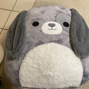 Meet Gustavia he is a super soft pup